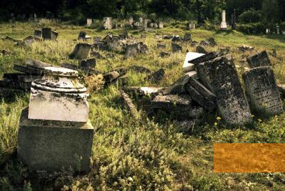 Bild:Orhei, 2005, Verfallene Gräber auf dem jüdischen Friedhof von Orhei, Stiftung Denkmal