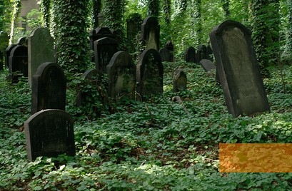 Image: Gliwice, 2012, Jewish cemetery, Tomasz Górny