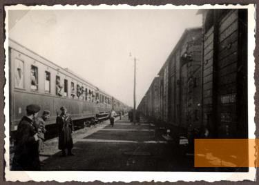 Bild:Skopje, 1943, Verschlossene Deportationszüge, Yad Vashem