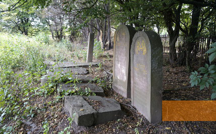 Bild:Rohatyn, 2015, Neuer Jüdischer Friedhof, Rohatyn Jewish Heritage, Jay Osborn