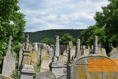 Bild:Vălcineţ, 2017, Jüdischer Friedhof, Maren Röger