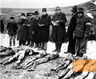 Image: Sărmaşu, 1945, Exhumation of the victims, Yad Vashem