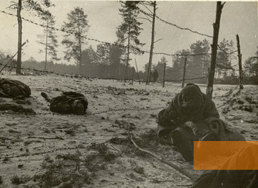 Image: Ozarichi, 1944, Victims of the camp, Belorusskiy gosudarstvennyy muzey istorii velikoy otechestvennoy voyny, Photo: Podshivalov