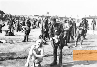 Bild:Oerbke, 1941, Sowjetische Kriegsgefangene im Stalag XI D, Niedersächsisches Landesarchiv - Hauptstaatsarchiv Hannover