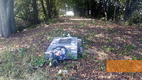 Image: Myrne near Berdychiv, 2017, Memorial at a mass grave at the site of the biggest mass shooting, Stiftung Denkmal