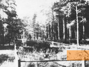 Image: Viļāni, 1944, The fenced in site of the shootings, Muzejs »Ebreji Latvijā«